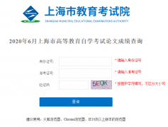 2020年6月上海市育自学考试论文成绩可查询