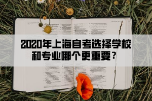 2020年上海自考选择学校和专业哪个更重要？