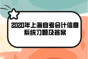 2020年上海自考《会计信息系统》习题及答案(2)