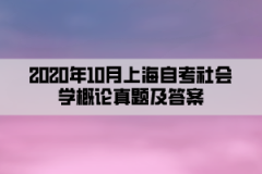 2020年10月上海自考社会学概论真题及答案