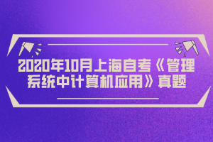 2020年10月上海自考《管理系统中计算机应用》真题