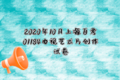 2020年10月上海自考01184电视艺术片创作试卷