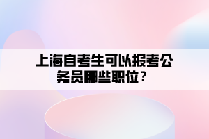 上海自考生可以报考公务员哪些职位？