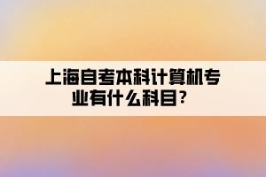 上海自考本科计算机专业有什么科目？