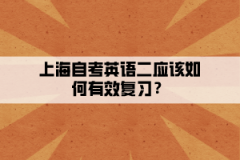 上海自考英语二应该如何有效复习？